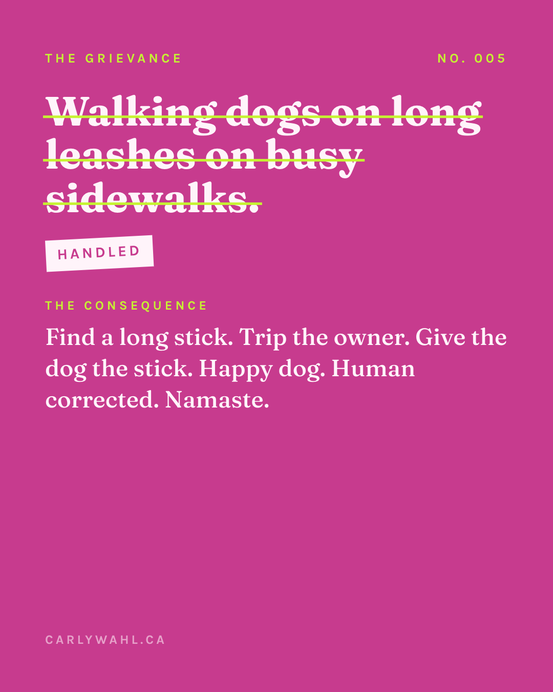 No. 005 — Walking dogs on long leashes on busy sidewalks.
